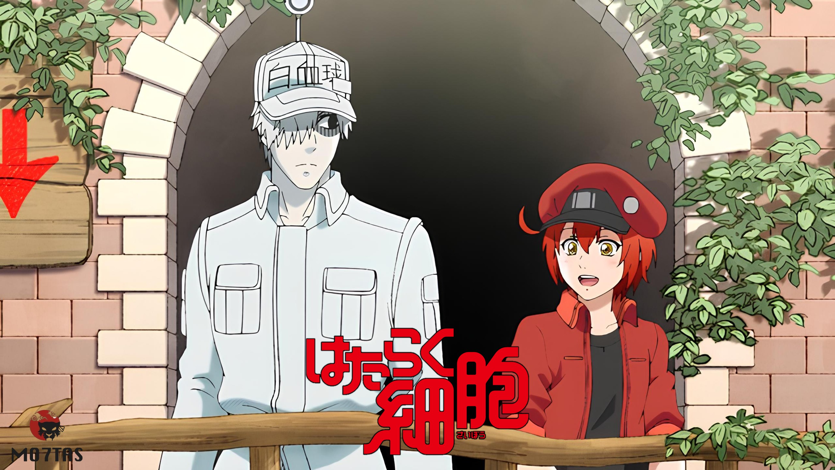 Hataraku Saibou