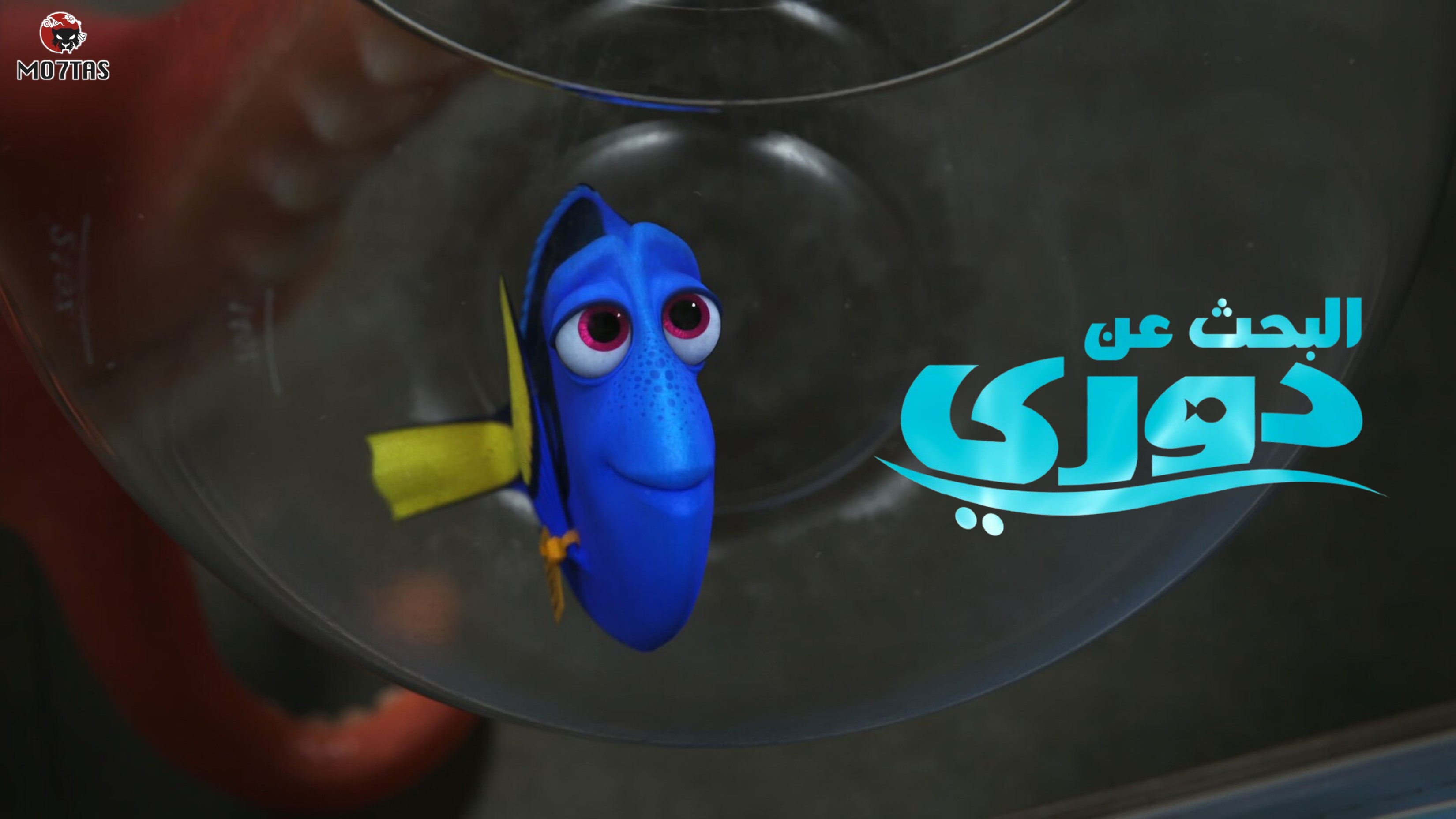 البحث عن دوري